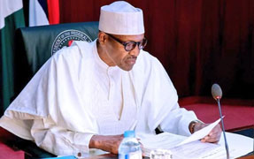 The Executive Arm of Government - President Muhammadu Buhari
