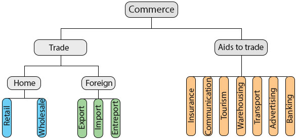 Introduction to commerce - Branches of commerce