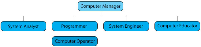 Administrative Structure of Computer Professionals