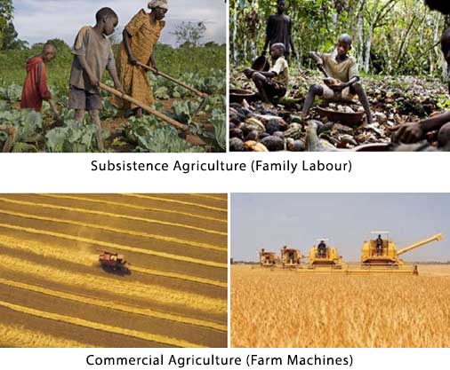 commercial farming vs subsistence farming