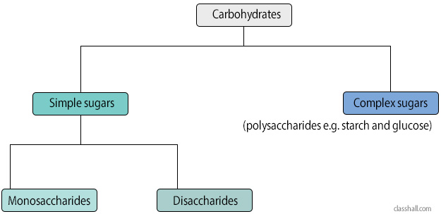 Giant Molecules - Classification of Carbohydrates