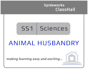 SS1 Animal Husbandry - Lesson Notes, Exam Questions, Smart Learning